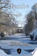 Tombe La Neige