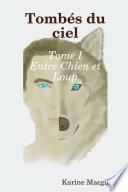 Tombés du ciel tome 1 Entre chien et loup