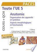 Toute l'UE 5 - Anatomie - Cours + QCM
