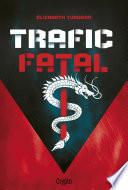 Trafic fatal