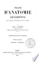 Traité d'anatomie descriptive