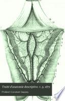 Traité d'anatomie descriptive. v. 3, 1871