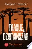 Traque à Dzamandzar