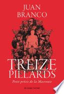 Treize pillards
