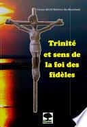 Trinité et sens de la foi des fidèles