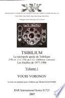 Tsibilium: Les fouilles de 1977-1986