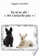 Tu m'as dit : ne t'attache pas !