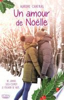 Un amour de Noëlle