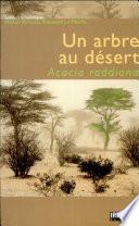 Un arbre au désert