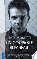 Un coupable si parfait