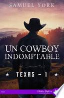 Un cowboy indomptable
