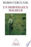 Un merveilleux malheur