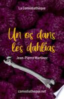 Un os dans les dahlias