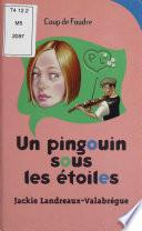 Un pingouin sous les étoiles