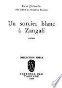 Un sorcier blanc à Zangali