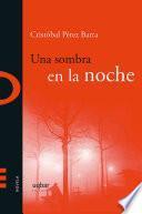Livre Una sombra en la noche