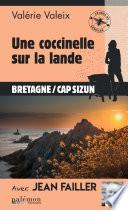 Une coccinelle sur la lande