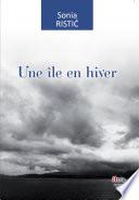 Une île en hiver