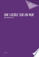 Une luciole sur un mur