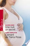 Une nuit, un secret... - L'amant de Tierra Rosa (Harlequin Passions)
