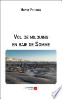 Vol de milouins en baie de Somme