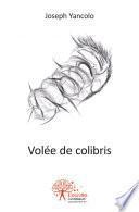 Volée de colibris
