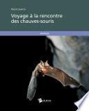 Voyage à la rencontre des chauves-souris