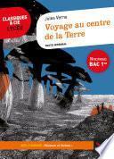 Voyage au centre de la Terre (Bac 2021)