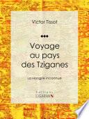 Voyage au pays des Tziganes
