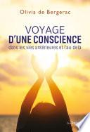Voyage d'une conscience dans les vies antérieures et l'au-delà