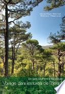 Voyage dans les forêts de l’Hérault